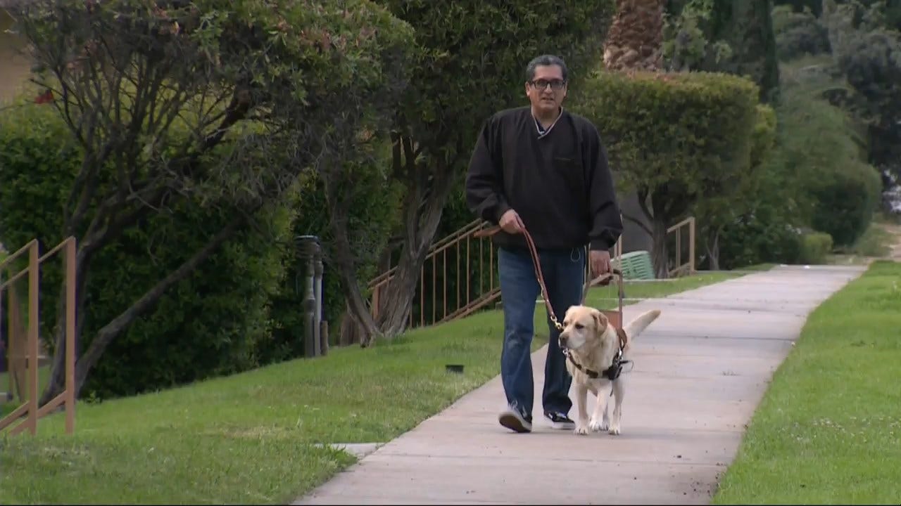 Lyft Driver Refuses Ride to Blind Man With Service Dog