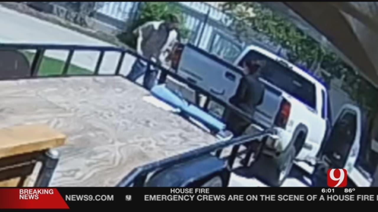 Thieves Caught On Surveillance Stealing Trailer From Bethany Home