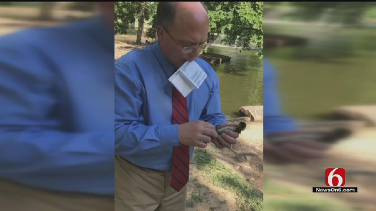 Reporter Emory Bryan Saves Duckling At Tulsa Park