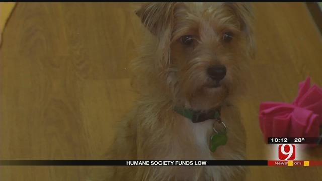 Central OK Humane Society In Need Of Donations