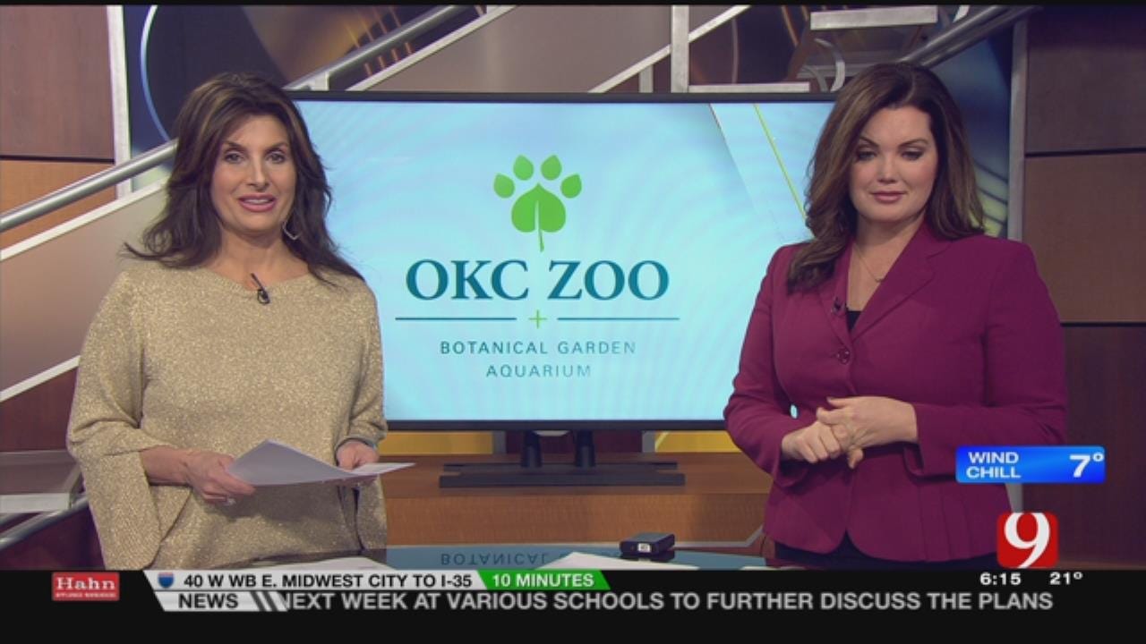 OKC Zoo Announces Names Of New Pygmy Goats