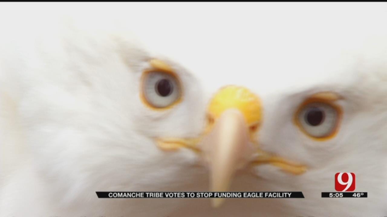 Eagle Breeding Facility Endangered After Tribe Stops Funding Program