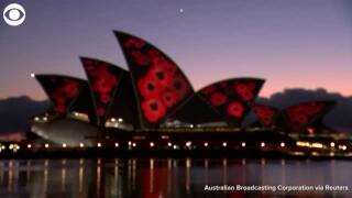 Watch The Sydney Opera House Lights Up For Remembrance Day