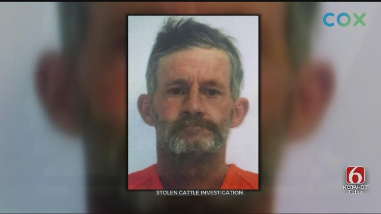 Ranch Manager Arrested For Stealing, Selling His Boss’ Cattle in Creek Co.