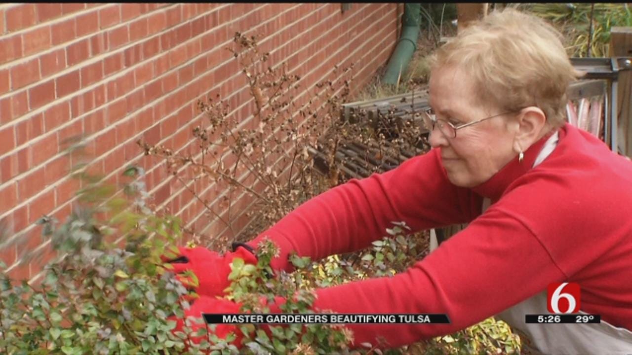 Tulsa's Master Gardeners Volunteer For Love Of Gardening
