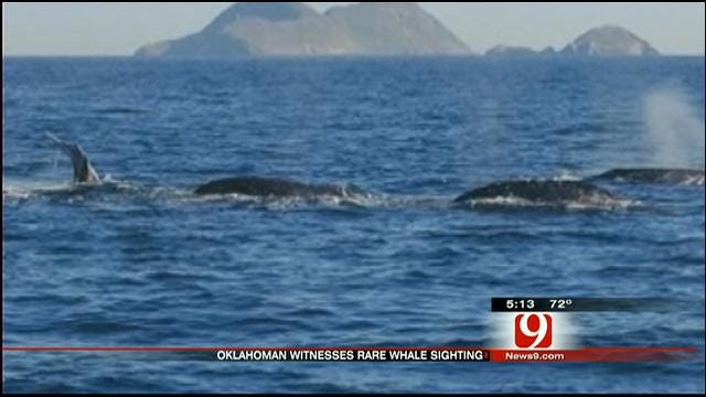 OKC Couple Shares 'Whale Of A Tale' From California Vacation