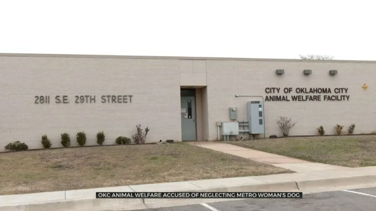 OKC Animal Welfare Looks At Changing Long Term Car After Public Outcry