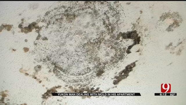 Yukon Man Deals With Mold In His Apartment