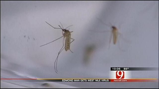 Oklahoma On Pace For Worst West Nile Virus Cases In State History