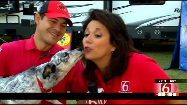 LeAnne Taylor Checks Out Amazing Dog Act At Tulsa State Fair