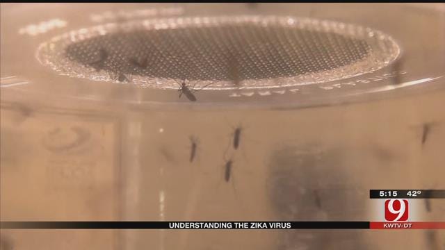 Oklahoma Doctor Explains What The Zika Virus Is