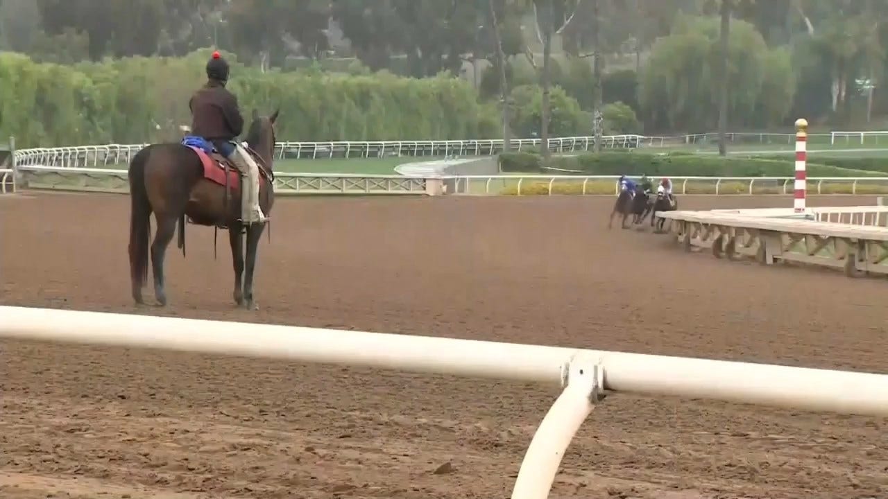 Santa Anita Racetrack Won't Close After 2 More Horses Die, 29 Overall Since December