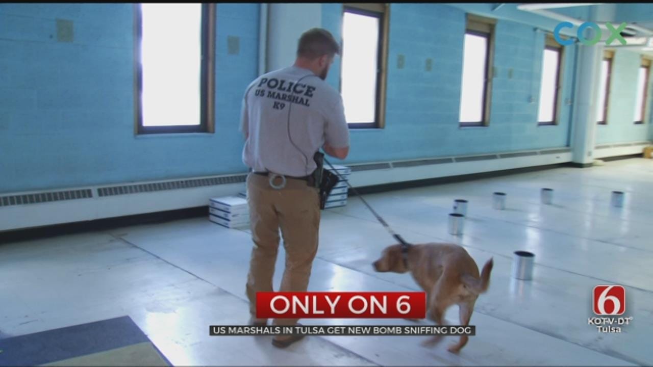 Tulsa U.S. Marshals Add New Dog To Team