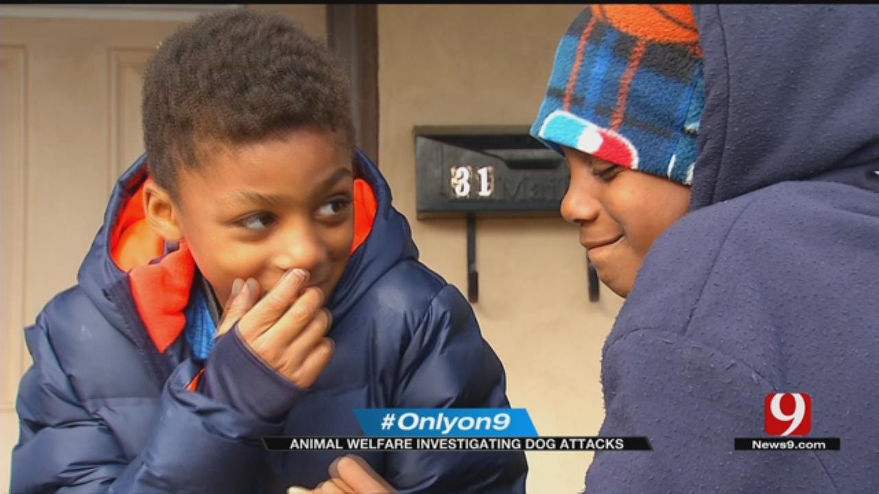 OKC Animal Welfare Investigating After Kids Attacked By Dogs