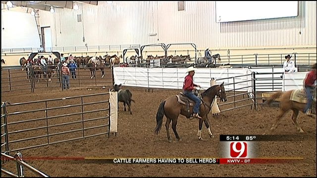 Ranchers Sort Out Livelihoods At Oklahoma State Fair