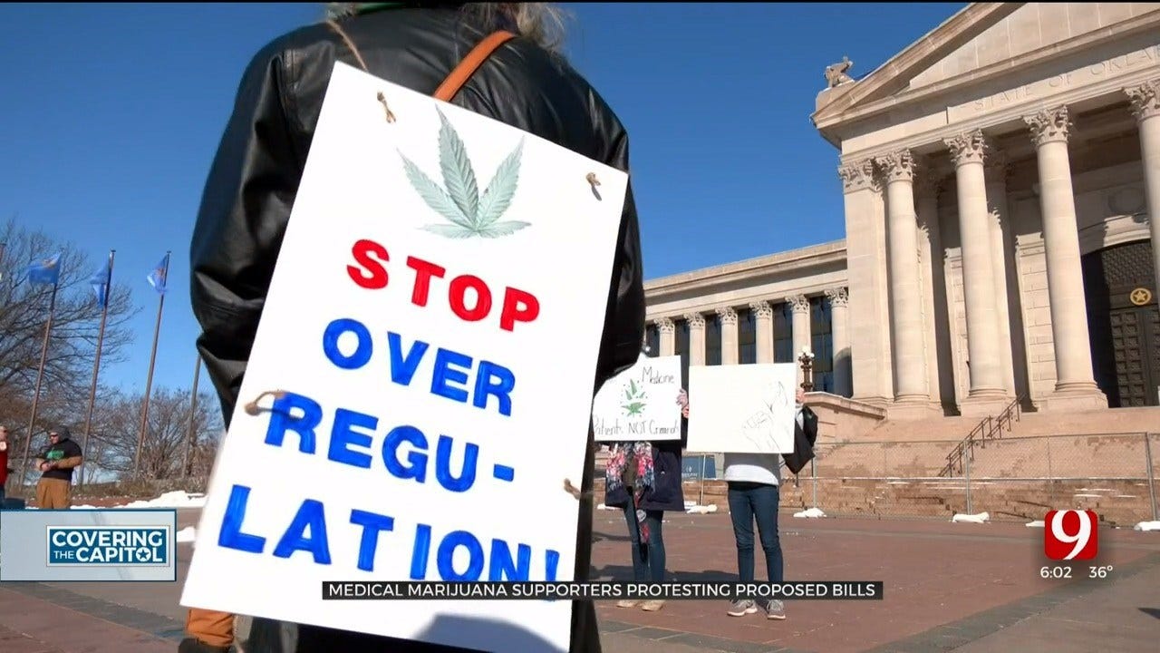 Medical Marijuana Supporters Protest Proposed Bills