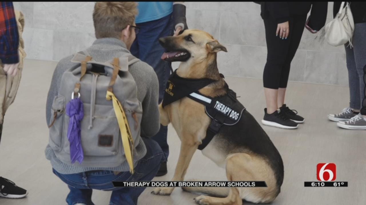 BA Teacher Starts Therapy Dog Program For Students