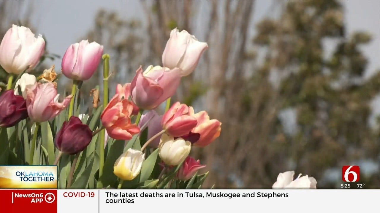 Tulsa Botanic Garden Donates Flowers To Local Hospitals