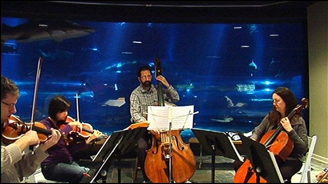 Students Can Get 'Symphony By The Sea' At Oklahoma Aquarium