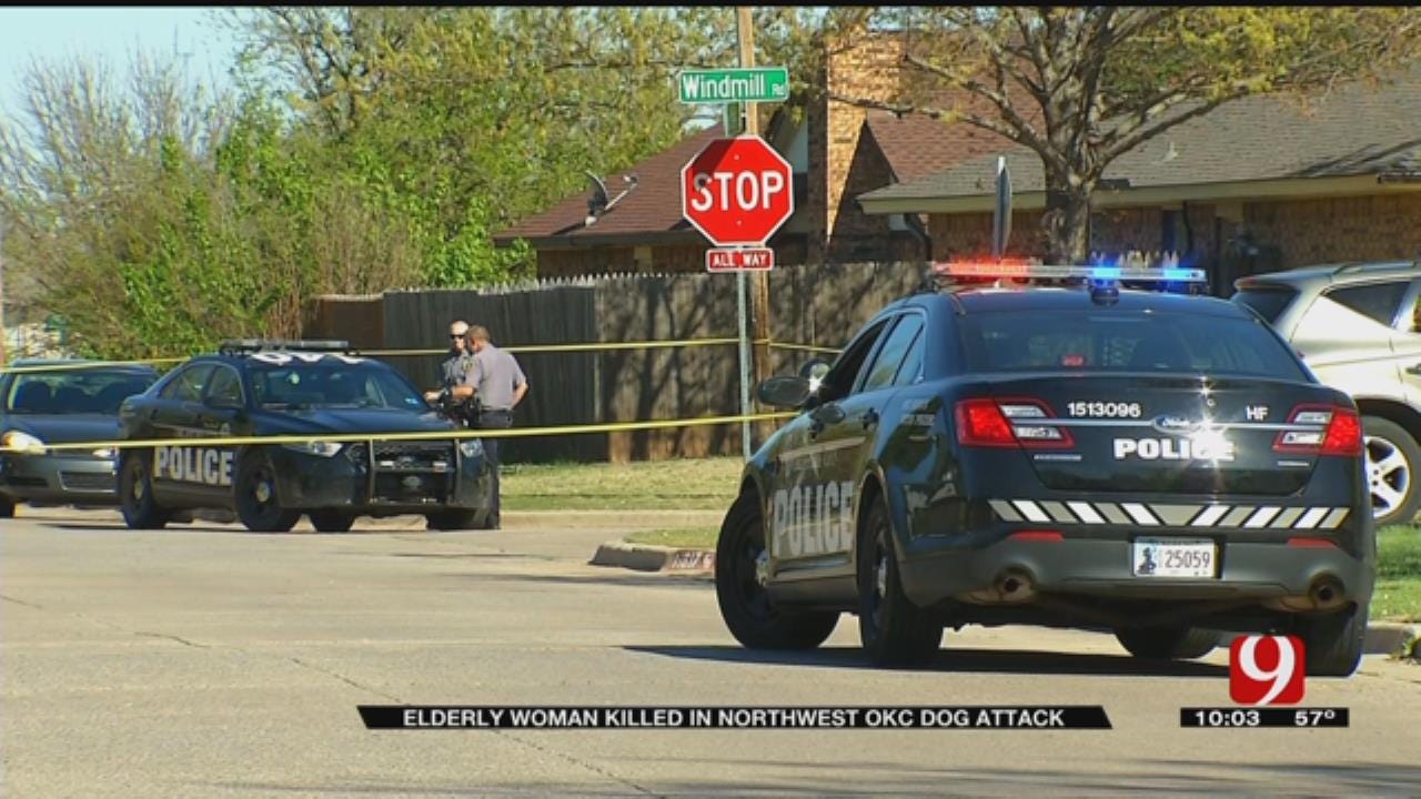 Elderly Woman, Dog Killed By At Least 1 Pit Bull In NW OKC Neighborhood