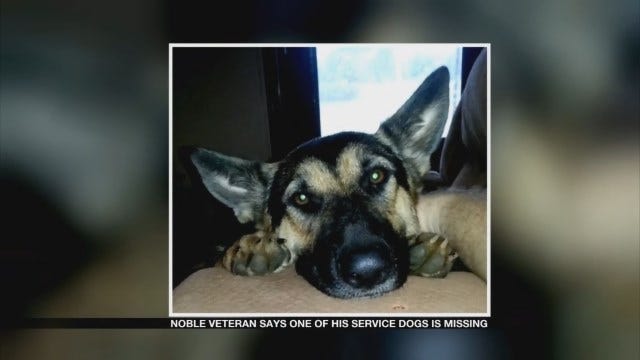 Noble Veteran Missing Service Dog
