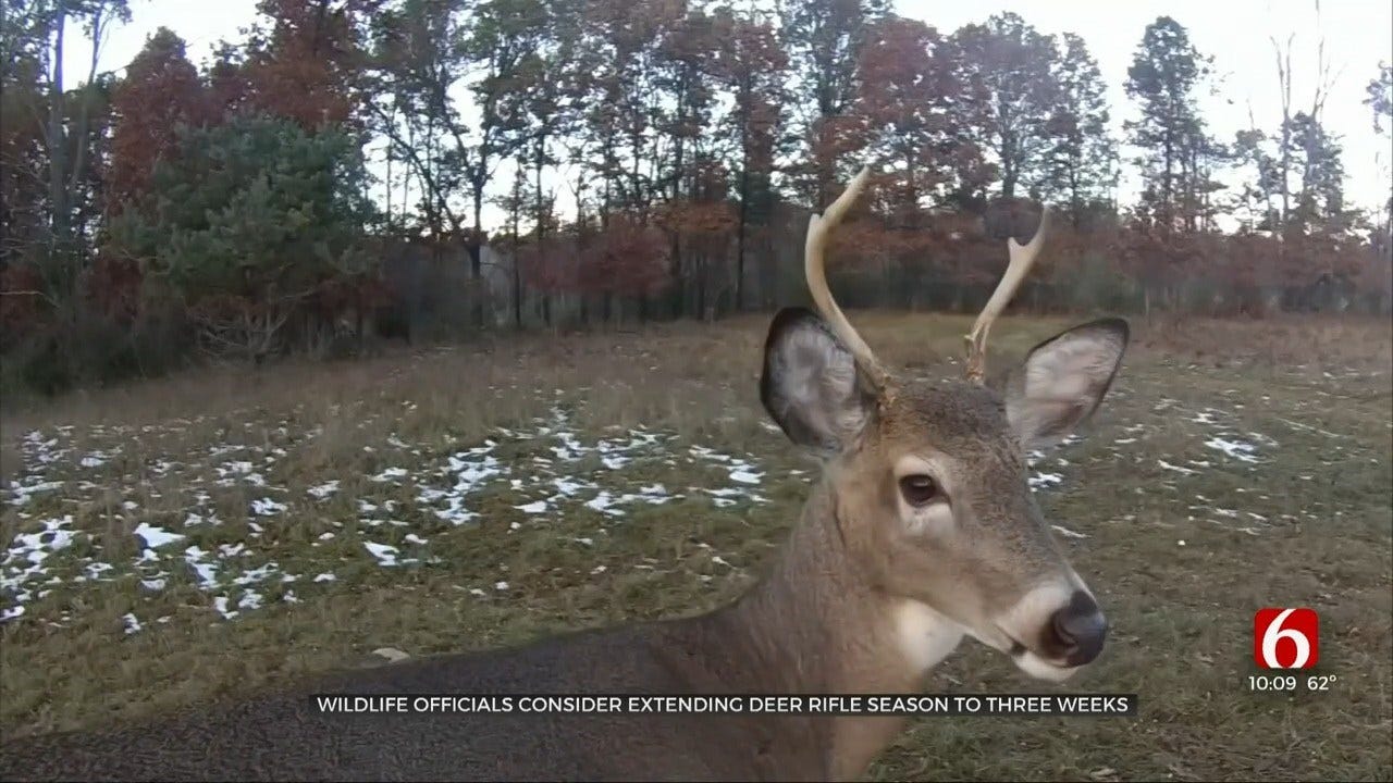 Wildlife Department Considering Extending Oklahoma Deer Gun Season