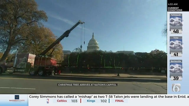 WATCH: U.S. Capitol Christmas Tree Arrives