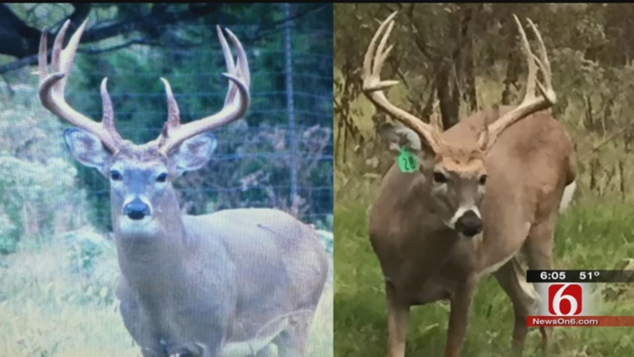 Facebook Post Helps Oklahoma Game Wardens Find Teen Suspected Deer Poachers