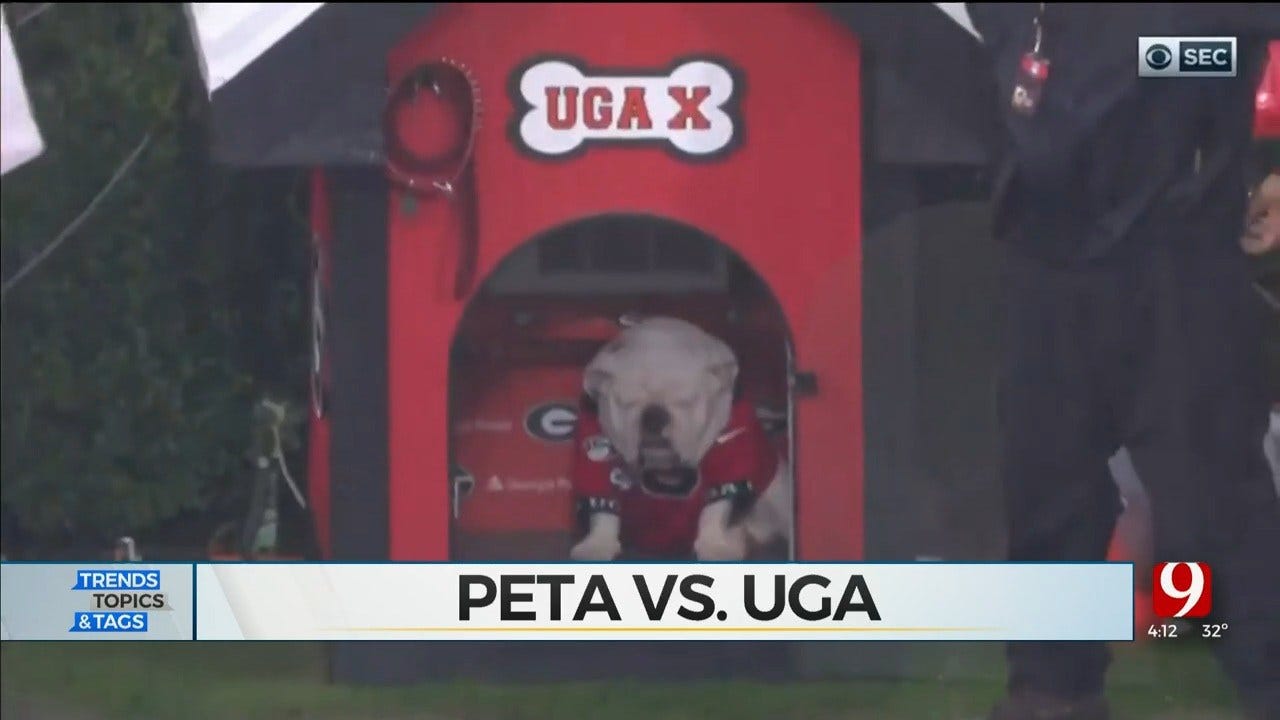 Trends, Topics & Tags: PETA Goes After Uga