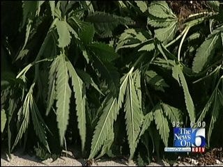 Sophisticated Indoor Marijuana Growing Operation Uncovered In Wagoner County
