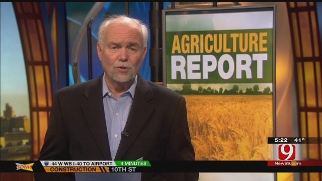 Agriculture Report: Consumers Willing To Pay For Steak, Chicken