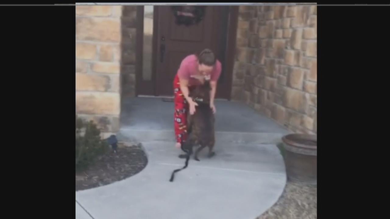 Oklahoma Parents Surprise Daughter With Shelter Dog She Cared For