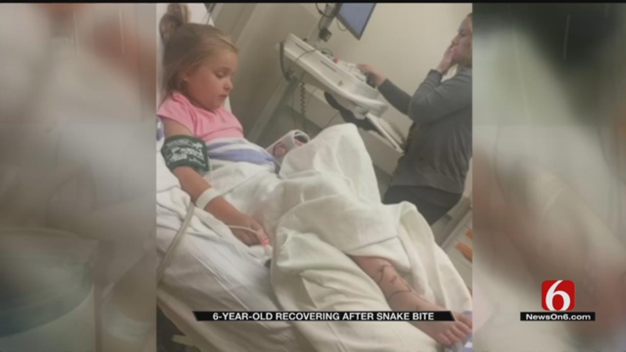 6-Year-Old Oklahoma Girl Suffers Life-Threatening Snake Bite