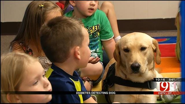 Enid Family Uses Diabetic Alert Dog To Monitor Young Daughter
