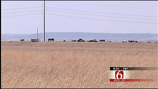 Dwindling Hay Supply Has Oklahoma Ranchers Worried
