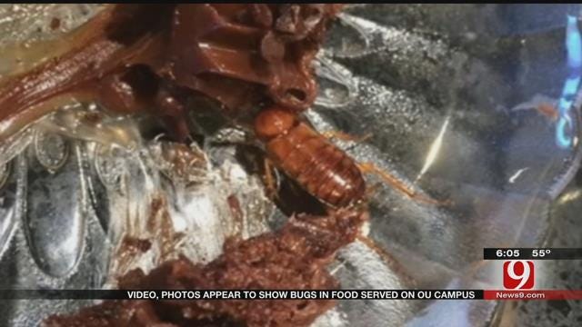 Video, Photos Appear To Show Bugs And Mold In Food Served On OU Campus