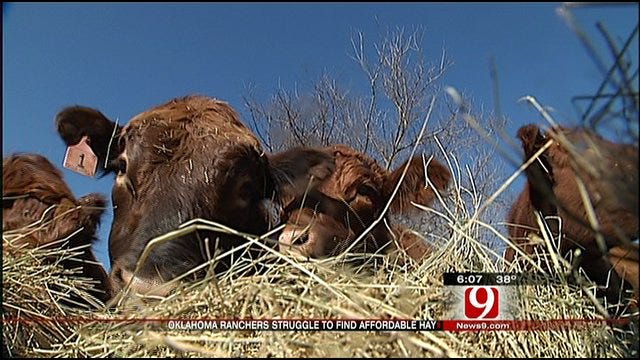 Hay Prices, Availability Tough On Oklahoma Farmers