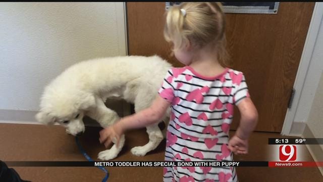 Metro Heart Patient And Her Pup Now Have Matching Scars