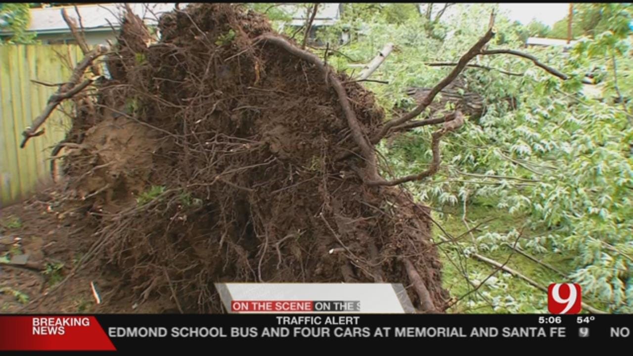 Holdenville Property, Trees Damaged In Severe Storm