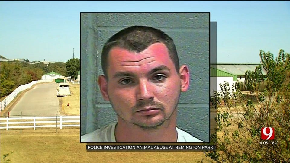 Man Arrested Accused Of Stabbing 5 Horses At Remington Park