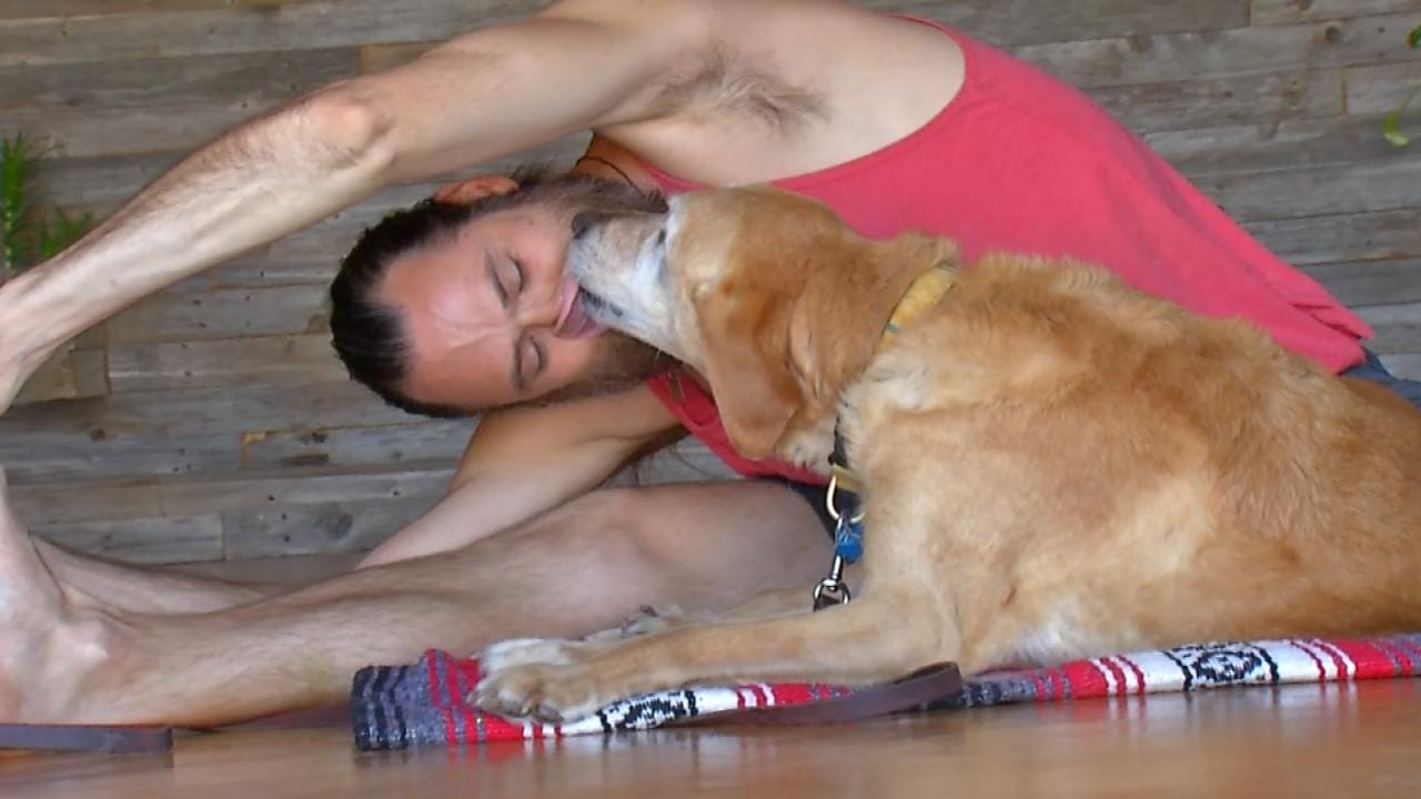 Catch A Dog Yoga Class Saturday In Tulsa
