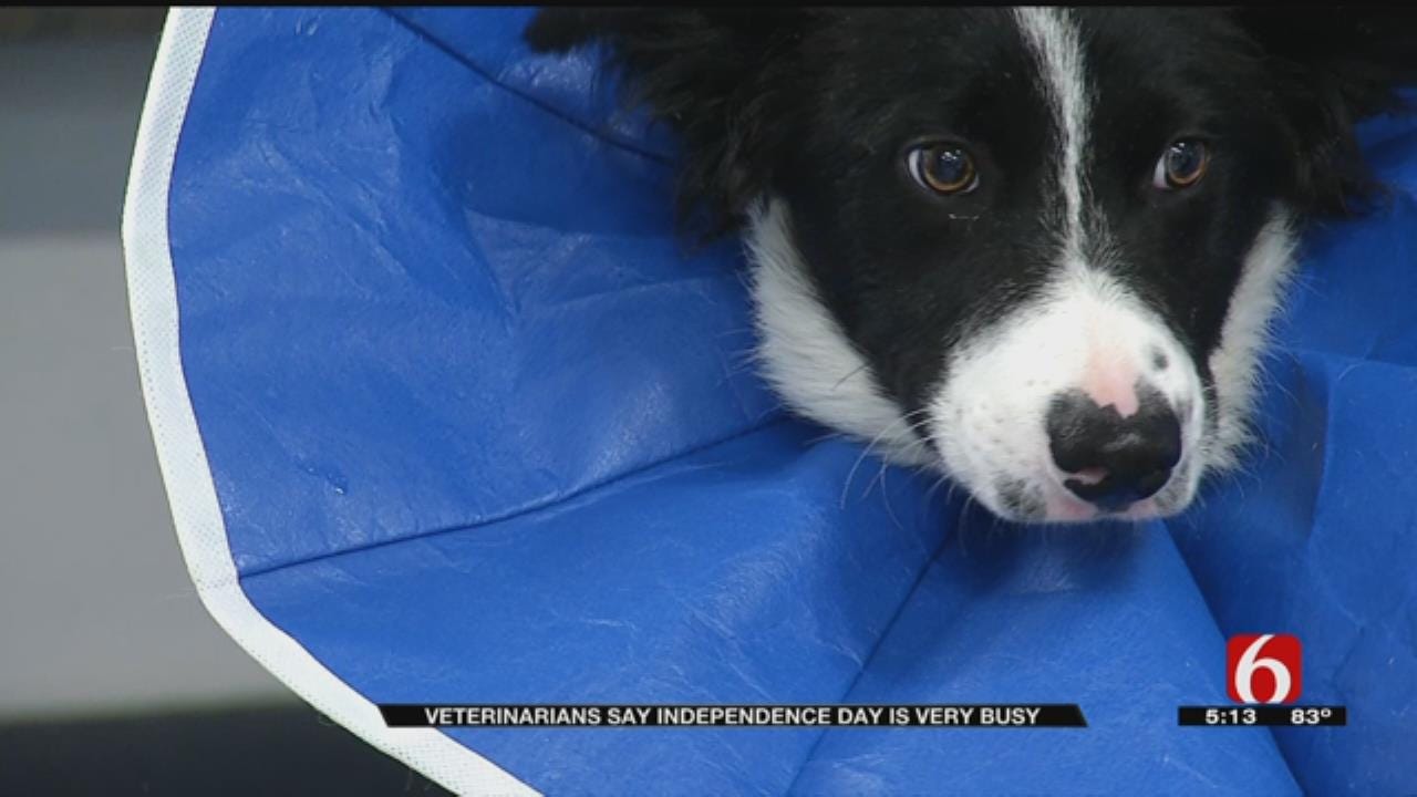 Independence Day Busy Time For Tulsa Animal Hospitals