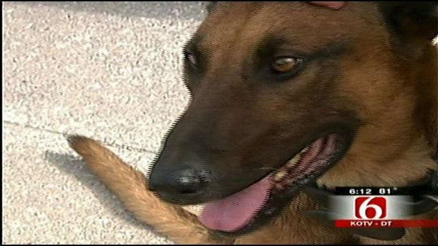 Delaware County Police Dog Battling Cancer