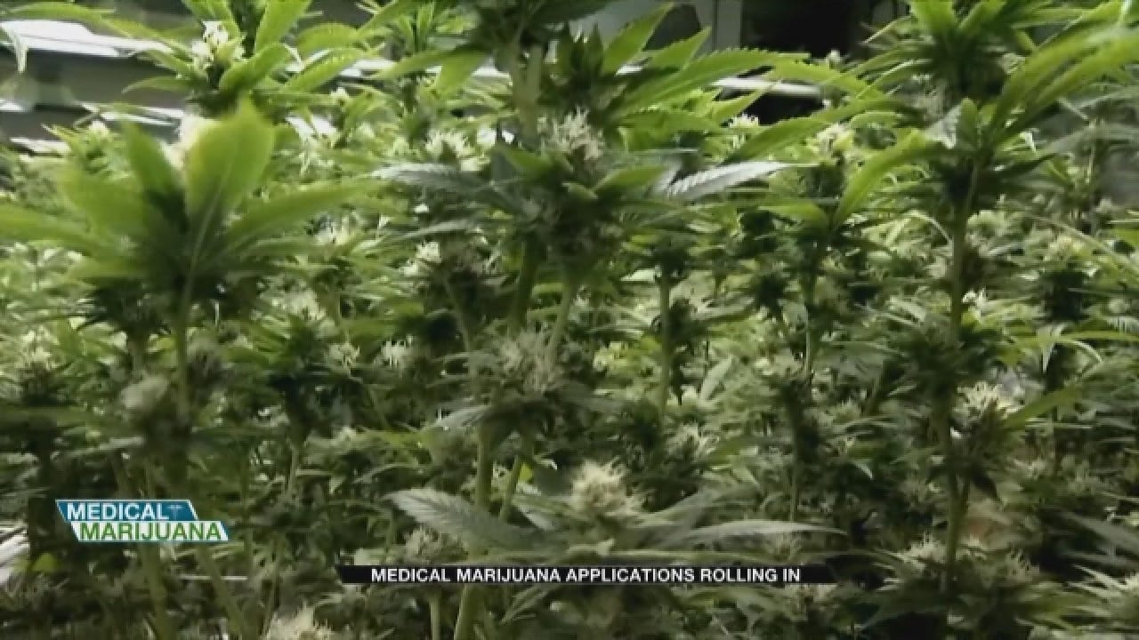Over 1K Individual Patients Apply For Medical Marijuana