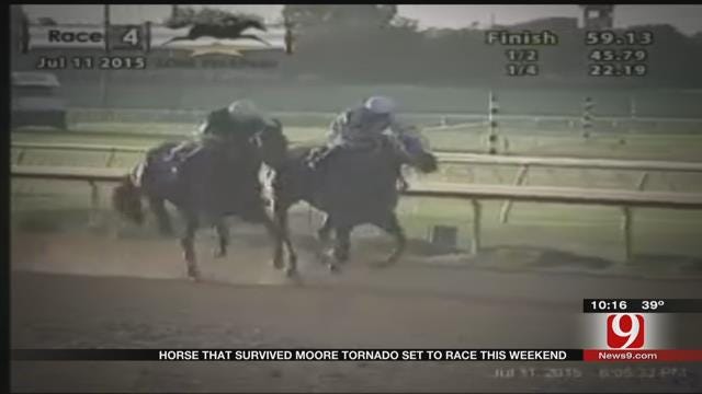 Horse That Survived Moore Tornado Set To Race This Weekend