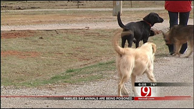 Couple Says Their Neighbor Poisons Animals In Grady County