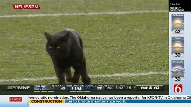 WATCH: Black Cat Rushes The Field During Football Game
