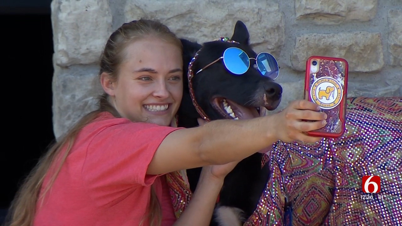 The 2022 edition of Woofstock takes place at the Jenks Riverwalk on September 17. Jamee Suarez and Jan Lavender with the Oklahoma Alliance for Animals brought their buddy Dane to give us a full preview of the weekend of events.
