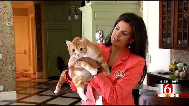 Master Of Disaster Opie Helps Out Washington County Shelter Cats