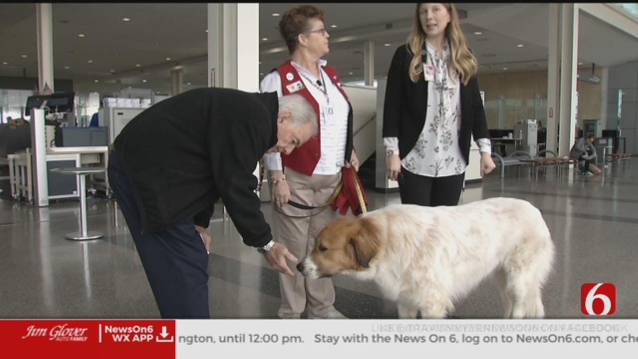 Welcome Waggin' Hopes To Relax Travelers At TIA
